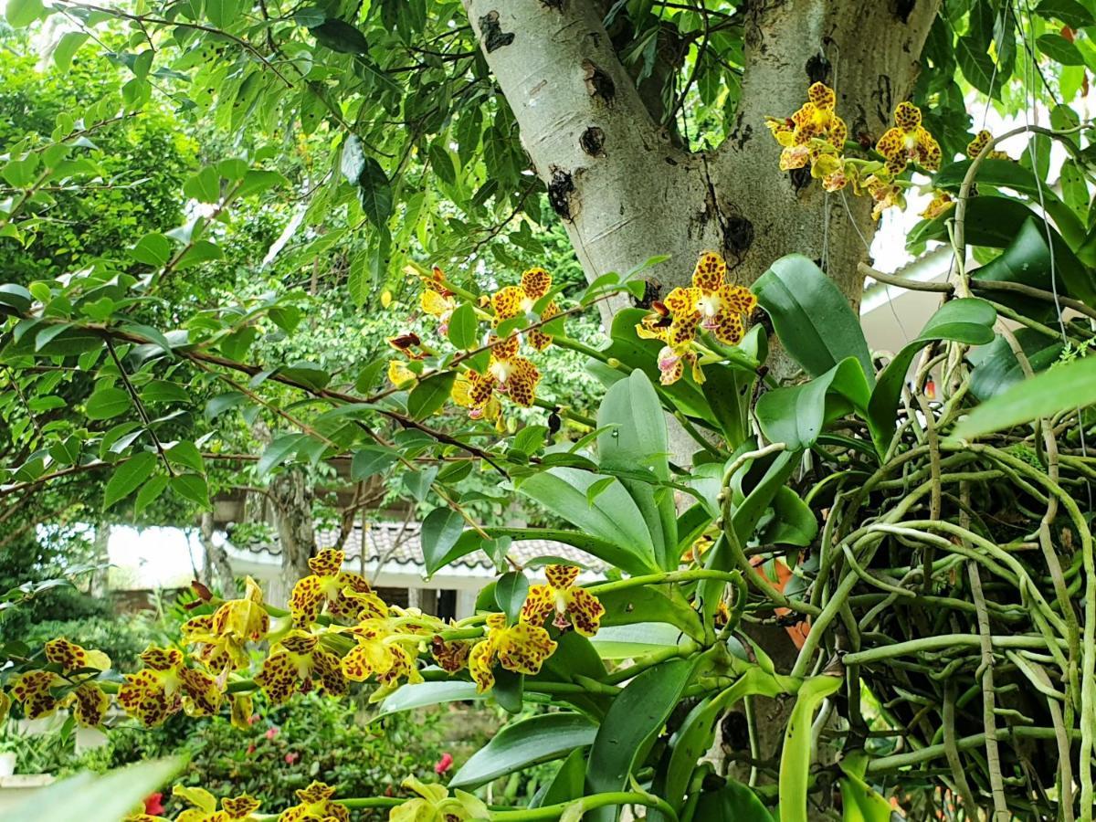 دالات Villa Dieu Thong - Secrect Garden, View San May Va Nui المظهر الخارجي الصورة